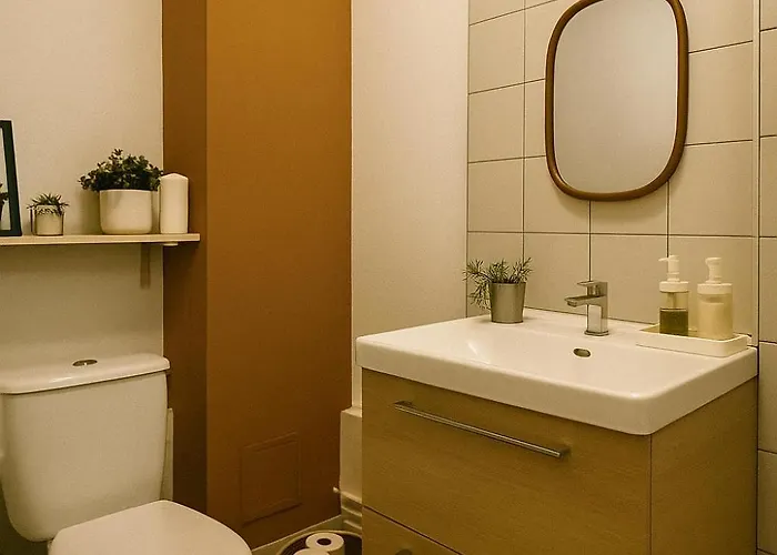 Apartamento Cosy - Hypercentre Capitole Toulouse