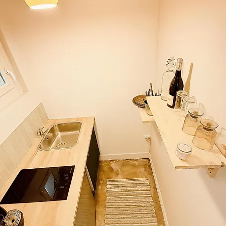 Cosy - Hypercentre Capitole * טולוז